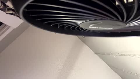 Monica online show from December 9, 5:19 pm