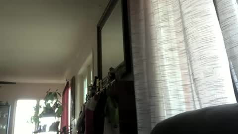 Monkee Dance online show from December 23, 10:01 pm