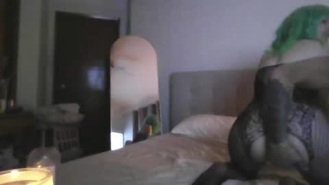 monkeyandroy online show from November 11, 6:59 am