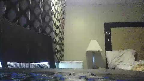 montedemise online show from February 9, 6:11 pm