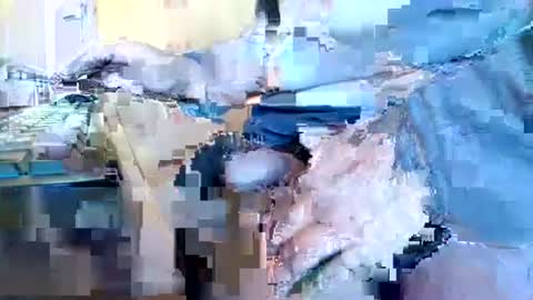 mookie2 online show from January 11, 9:47 am