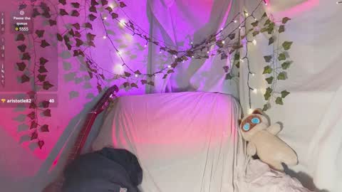 Dana online show from December 11, 6:09 pm