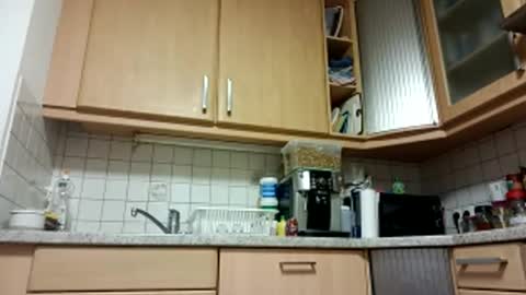 moos1 online show from September 10, 5:30 am