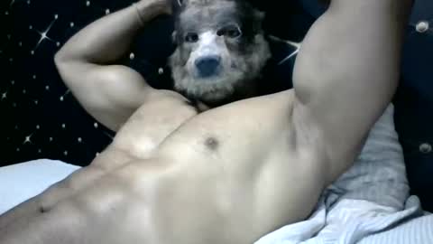 moreno1muscular online show from March 4, 9:11 pm