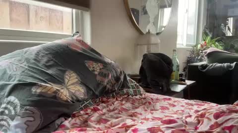 Snapshot of moreplease413 chatting on December 27, 8:18 pm moreplease413 online show from December 27, 8:18 pm