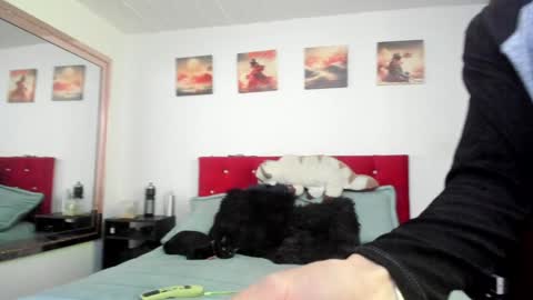 Snapshot of mr_andresr chatting on December 23, 4:50 pm Andy online show from December 23, 4:50 pm