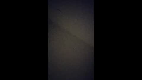 mr_donkey23 online show from February 6, 10:19 am