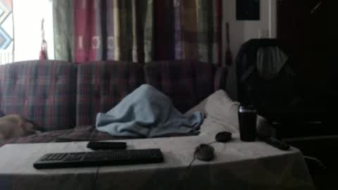 Snapshot of mr_happy12 chatting on September 25, 7:37 am mr_happy12 online show from September 25, 7:37 am