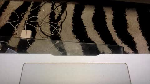 property of ....... online show from January 13, 7:16 am