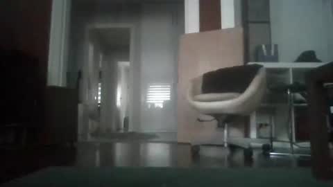 Nikola online show from February 2, 9:38 am