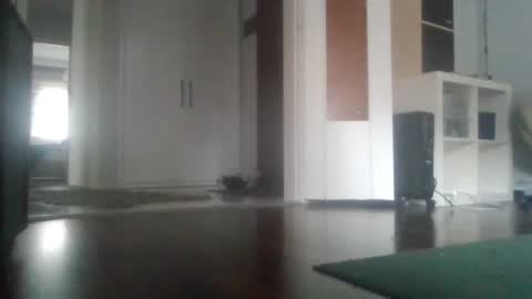 Nikola online show from March 24, 9:04 am