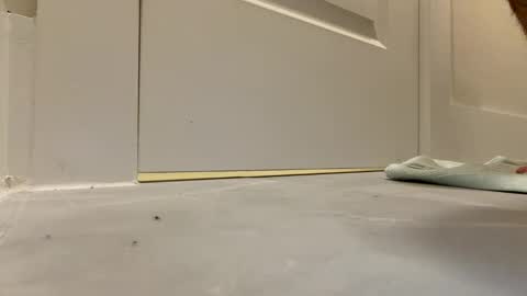 mrsexalot69 online show from March 13, 3:43 am