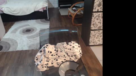 Sasha online show from April 12, 7:29 pm