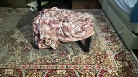 much_fun1 online show from February 1, 3:20 pm