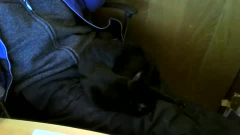 muller520 online show from March 3, 4:14 pm