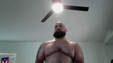 Bearded online show from May 11, 4:04 pm