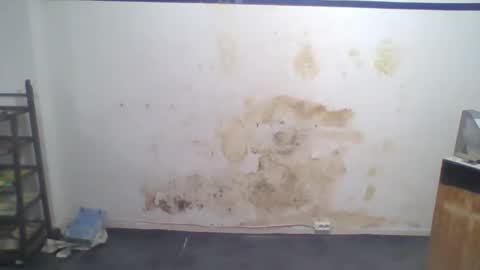 David Leon online show from October 10, 8:31 am