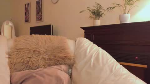 mysophiee online show from February 16, 10:08 pm