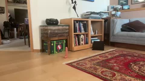 Masturbating boys need to be spanked. online show from February 26, 6:59 pm