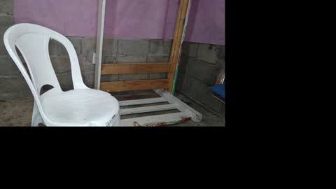 bellas2012 online show from January 19, 5:39 pm