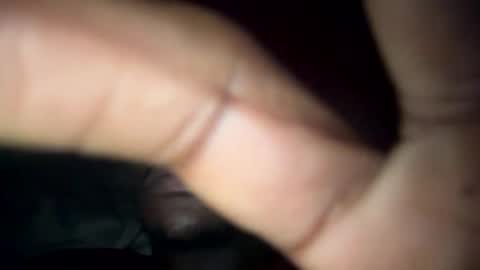 nasirdafoo online show from November 28, 8:10 am