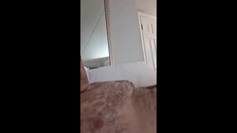 Tattdbgcock99 online show from March 14, 10:41 am