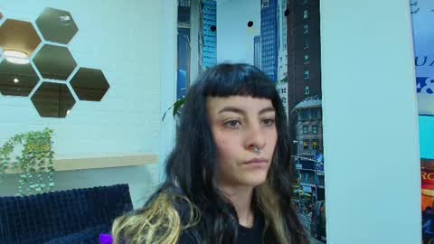 Kitten online show from March 10, 11:12 am