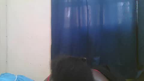 jn online show from March 25, 11:06 am