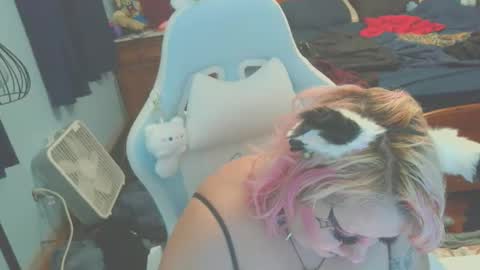 NekoKittenz online show from January 15, 4:32 am