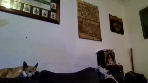 Snapshot of niceozziecockxxx chatting on February 13, 10:00 pm Sexiishaine online show from February 13, 10:00 pm