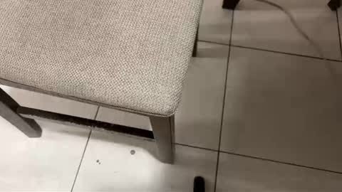 Carlos Nico online show from March 14, 8:29 am