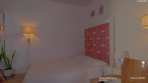  NEW instagram nicollemitchelle online show from November 8, 3:15 pm