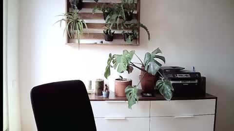 nikiliu online show from March 10, 11:36 am