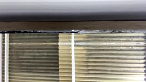 Nikki  online show from October 14, 3:09 am