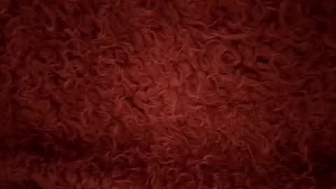 nikki nita online show from September 22, 10:41 am