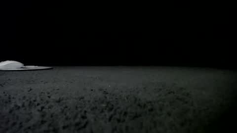 Niquita Sparkles online show from January 24, 9:49 am