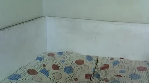 Niles online show from February 22, 2:30 pm