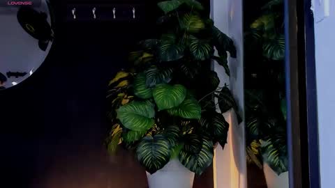 Noah  online show from March 25, 3:24 am