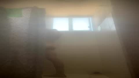 noecervantes232834905 online show from August 2, 4:31 pm