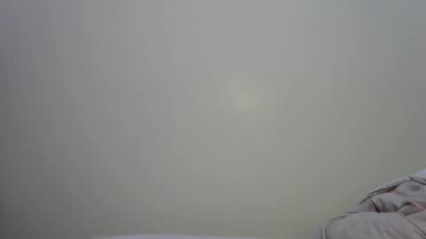 novaah online show from January 18, 8:23 am