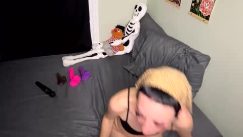 Nymphaea online show from October 30, 1:17 am