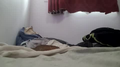 ehard2023 online show from November 25, 5:23 pm