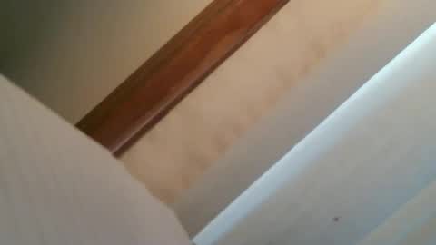 olddognewtrickss online show from September 11, 8:43 pm