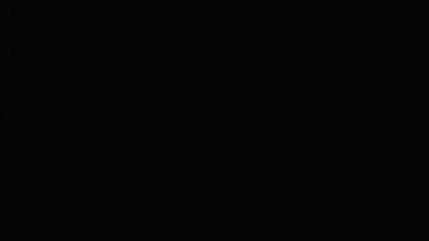 Marcus online show from November 14, 3:52 am