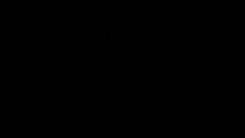 Olivia online show from November 18, 11:02 am