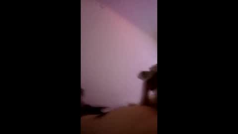 oliviassl22 online show from December 22, 12:06 am