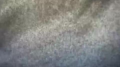 ZAINA online show from March 13, 11:24 am