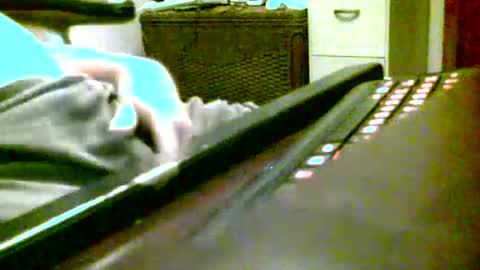 oneyedjackin online show from October 8, 1:24 am