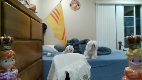 oorah1775 online show from March 2, 2:10 pm