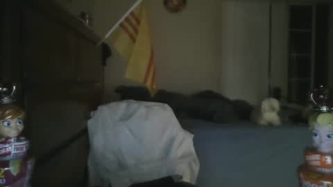 oorah1775 online show from March 1, 11:50 am